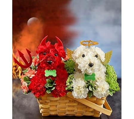Devil Dog, Angel Dog™