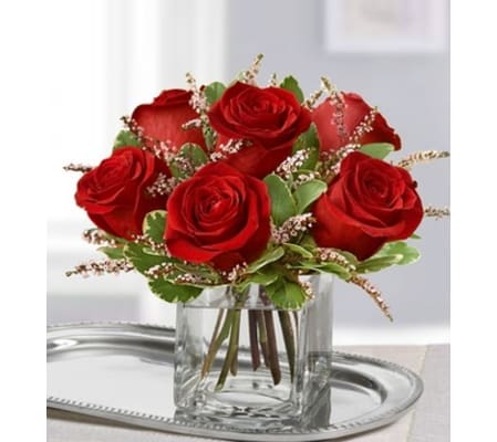 Rose Romance™