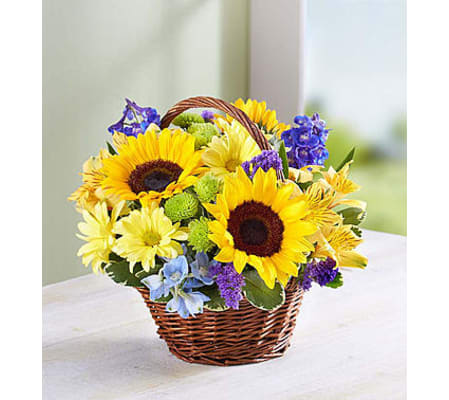 Fields of Europe™ for Summer Basket