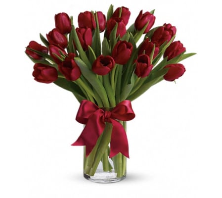 Radiantly Red Tulips