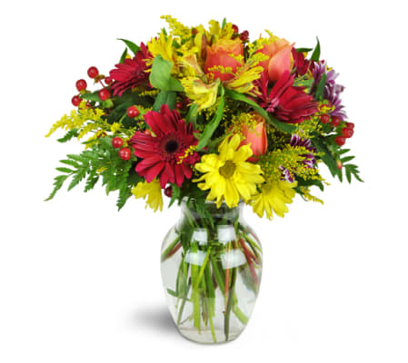 Cheerful Wishes