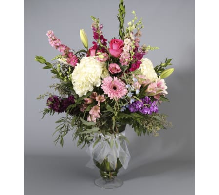 Abundance of Blooms
