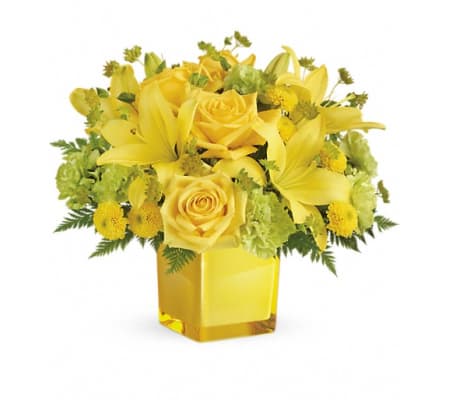 Teleflora's Sunny Mood Bouquet