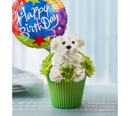 Pup-cake in Bloom™