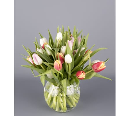Totally Tulips Bowl