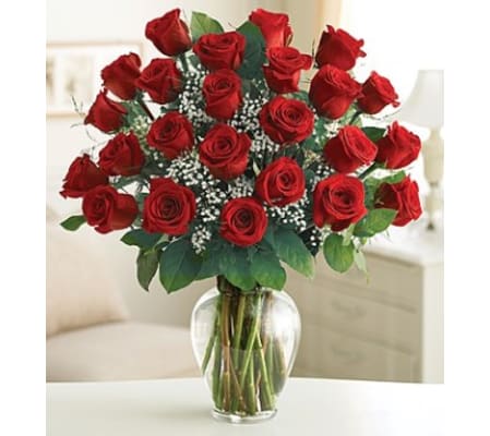 Rose Elegance- 24 red