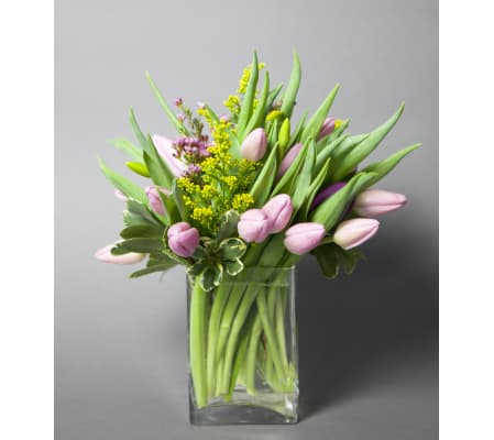 Tulips To Brighten Your Day