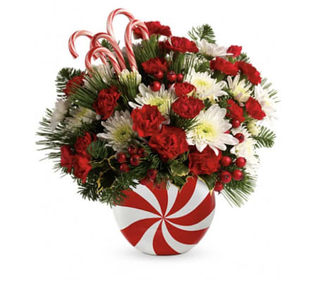 Teleflora's Candy-Striped Christmas Bouquet