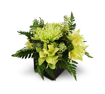 Emerald Jubilee