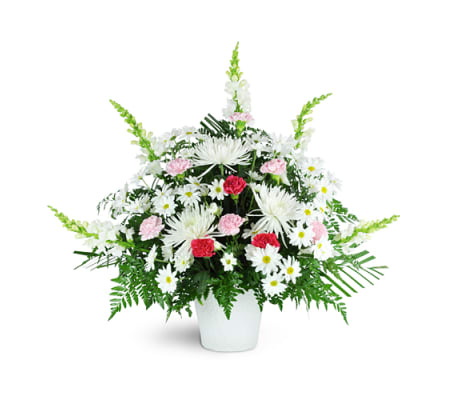 Fond Remembrance Tribute