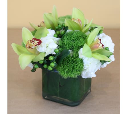 Cymbidium Says It Best