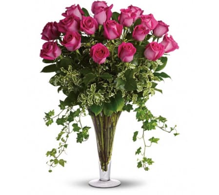 Dreaming in Pink - 18 Long Stemmed Pink Roses