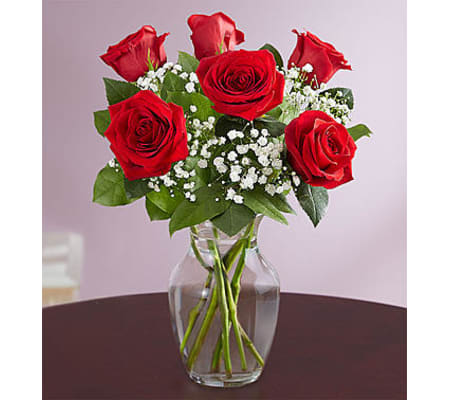 Love’s Embrace™ Red Roses