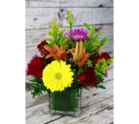 Colorful Surprise