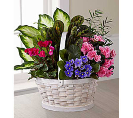 for the love of gardening