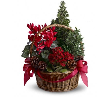 Tannenbaum Basket