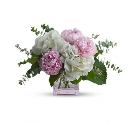 Teleflora's Pretty in Peony