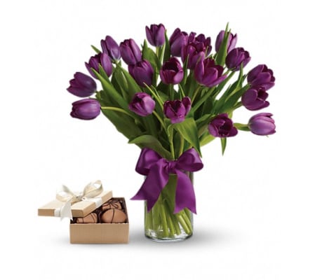 Purple Tulips Gift Set