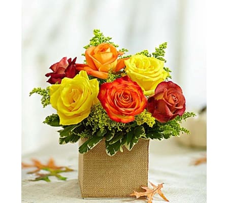 Autumn’s Blooming Roses