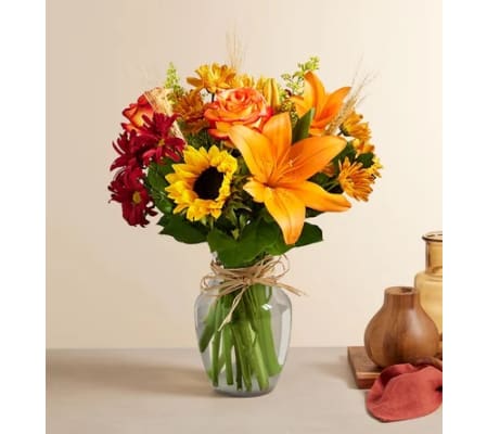 Fields of Europe™ for Fall