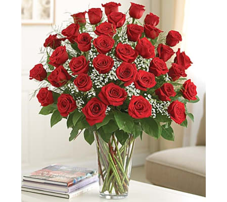 Ultimate Elegance - 3 dozen