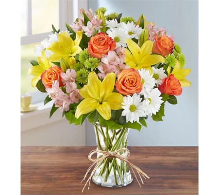 The Fields of Europe - Extra Large