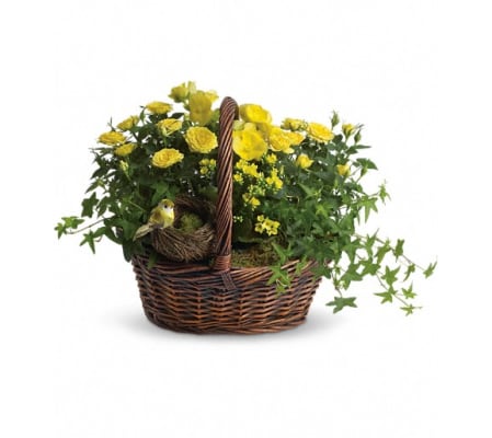 Yellow Trio Basket
