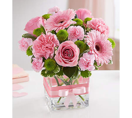 Sweetness™ Pink and Green Cube