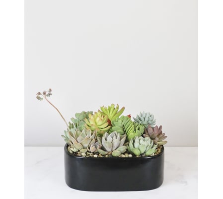 Artistic Planter