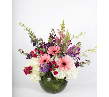Bursts of Joy