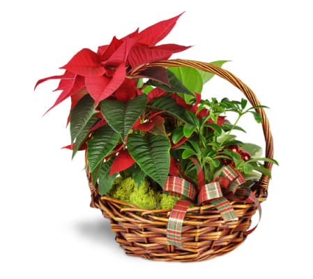 Holiday Basket of Cheer™