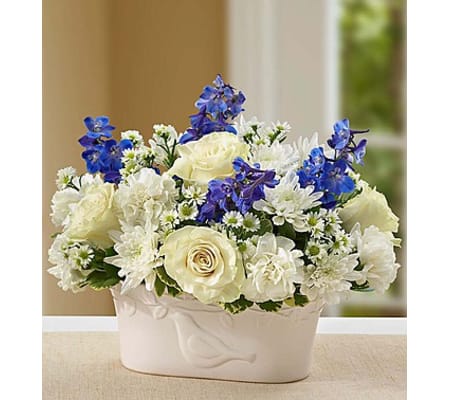 Peace and Healing™ Blue & White