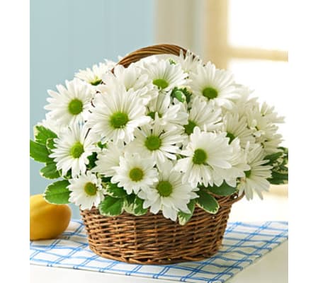 White Daisy Basket