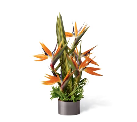 The FTD® Tropical Bright™ Arrangement