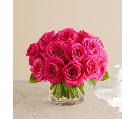 Contemporary Hot Pink Roses
