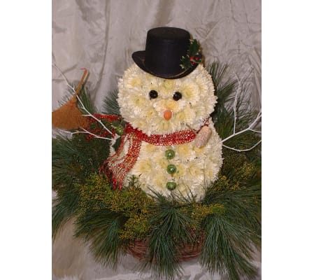 Franklin The Snowman