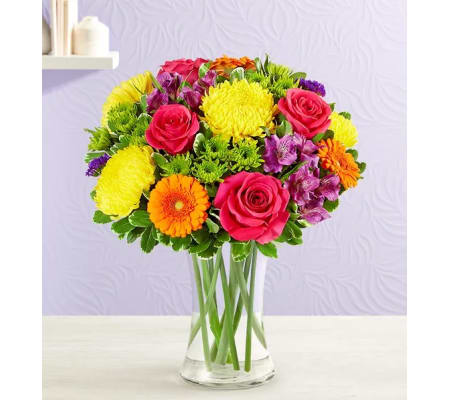 Fields of Europe® Celebration XL