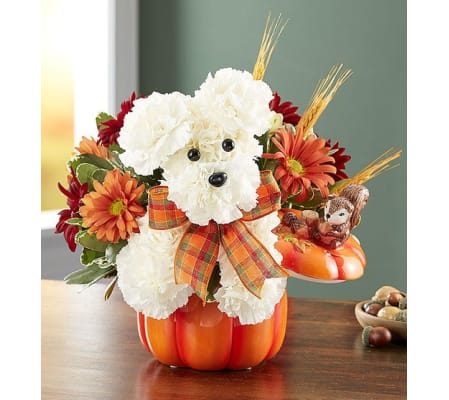 a-DOG-able® for Fall