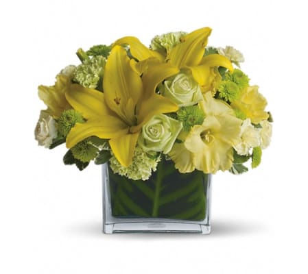 Oh Happy Day by Teleflora