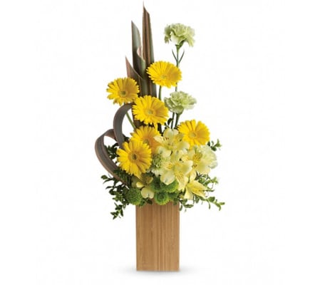 Sunbeams And Smiles by Teleflora