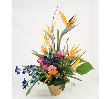 Tropical Joy with Mixed Blooms
