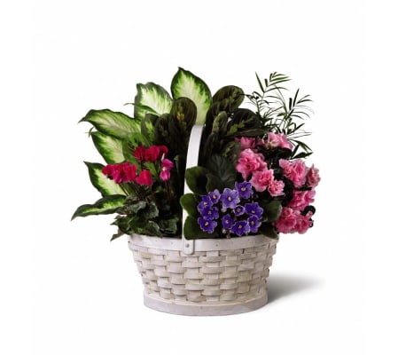 The FTD® Peaceful Garden™ Planter