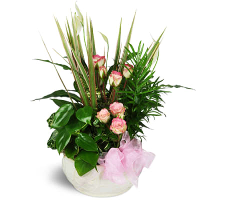 Sweet Memories Sympathy Planter™
