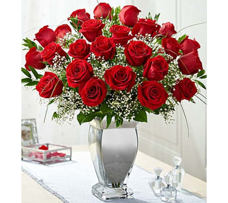 Premium Long Stem Red Roses in Silver Vase
