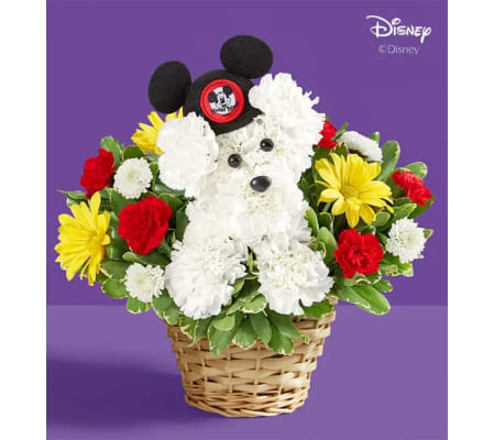 a-DOG-able® Disney Mickey Mouse