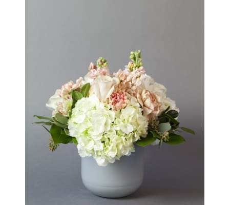 Forever Hydrangea Days