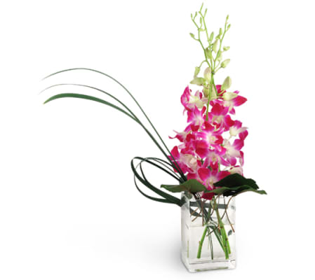 A Touch Of Pink™
