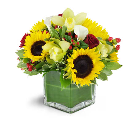 Luxury in Bloom™