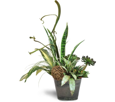 Modern Planter Garden