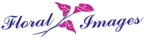 Flower delivery in Guelph, Waverley ON image